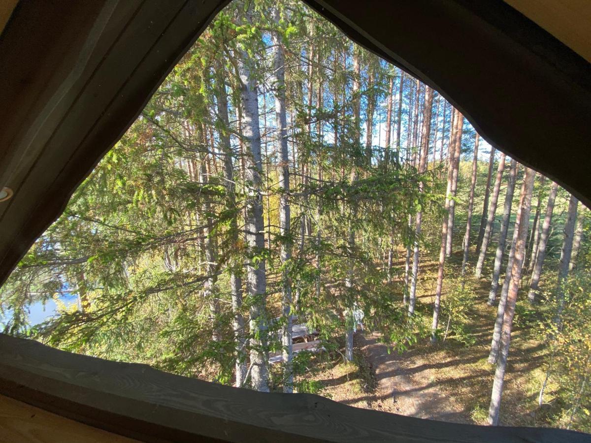 Viking House In The Tree! Jacuzzi, Sauna,Apkure! Lici  Exterior photo