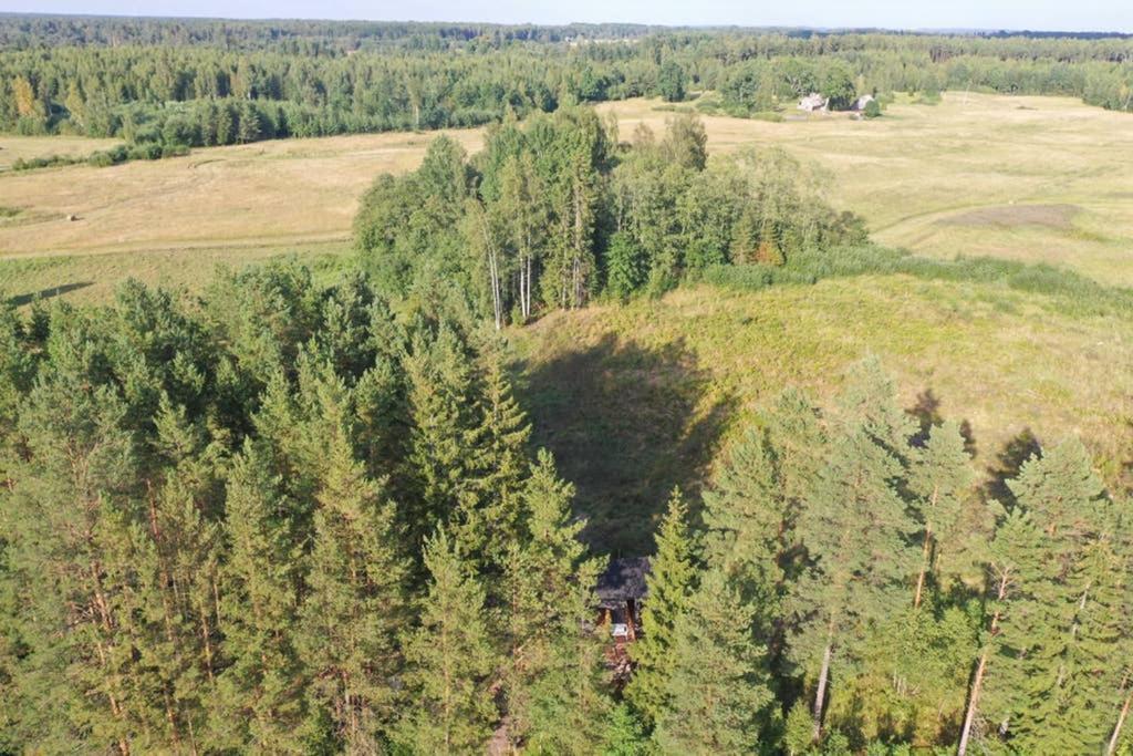 Viking House In The Tree! Jacuzzi, Sauna,Apkure! Lici  Exterior photo