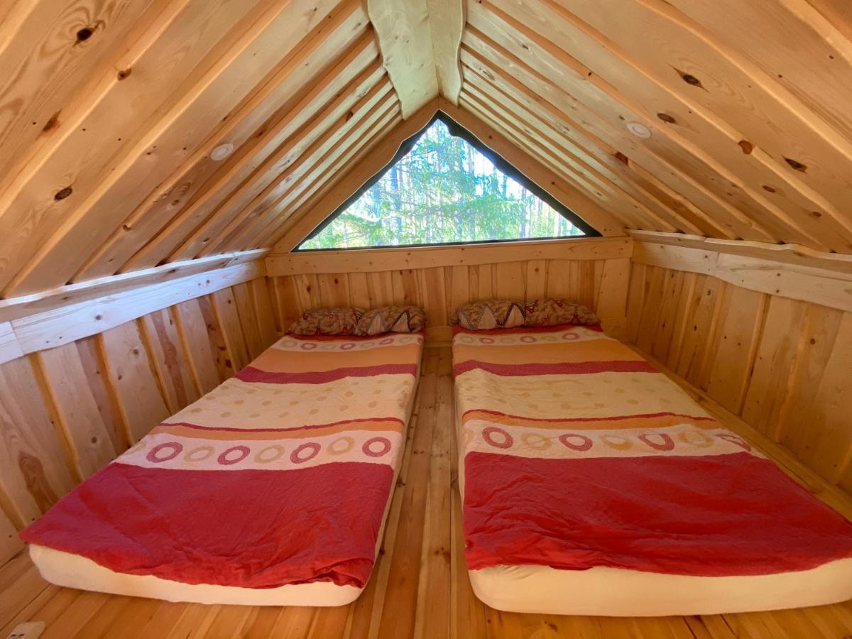 Viking House In The Tree! Jacuzzi, Sauna,Apkure! Lici  Exterior photo