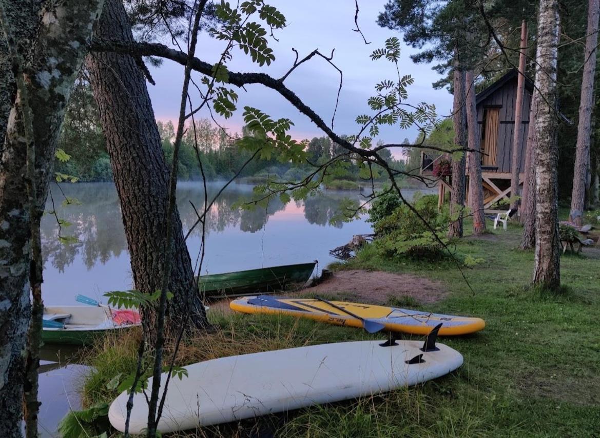 Viking House In The Tree! Jacuzzi, Sauna,Apkure! Lici  Exterior photo